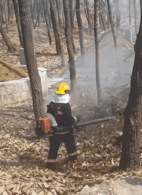 青州市庙子镇清明节文明祭扫倡议书