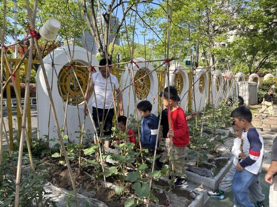 蔬香满园 童心共成长  —— 杭州市钱新幼儿园种植实践活动纪实