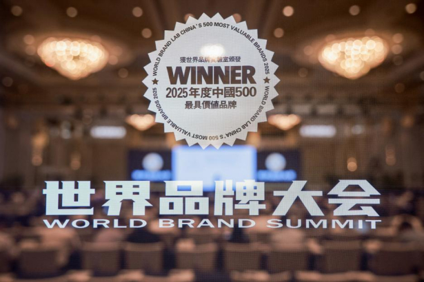 瑞众保险入选2025年“中国500最具价值品牌”