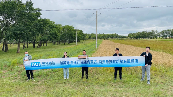 瑞众保险“瑞美好·责任行”公益项目荣获2025“金诺奖”