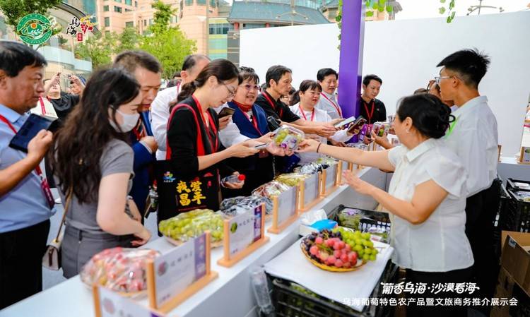 “明星产品”乌海葡萄,香飘北京城!