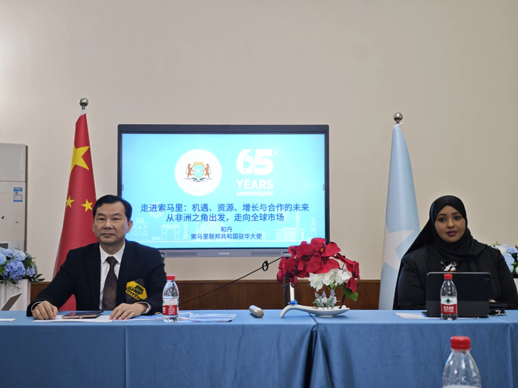 中非经济合作发展工作委员会率企业家代表团  访问索马里驻华大使馆