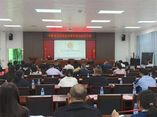 东升大队组织白鲤村企业负责人开展消防培训会