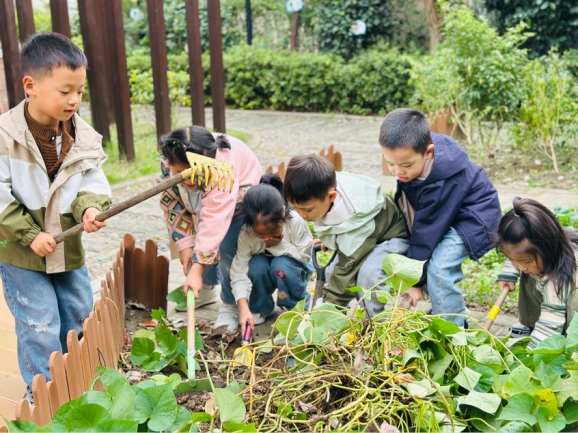 秋意“薯”趣浓  ——杭州市康桥幼儿园溪居路园区秋收节顺利举行