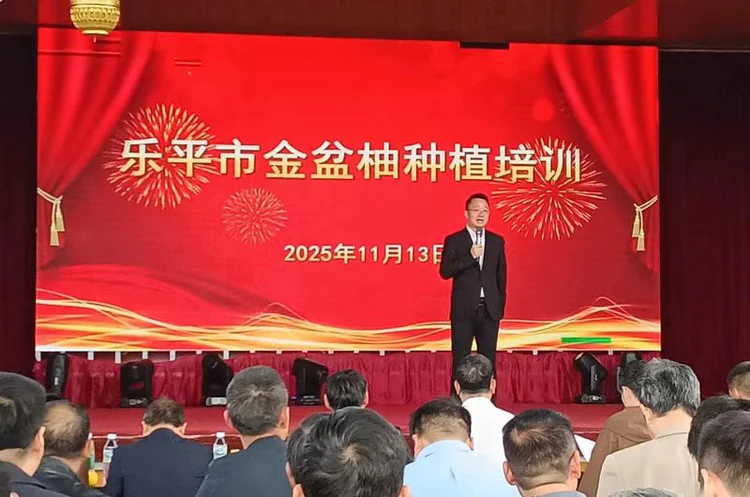 【赋能乡村振兴 共育“致富果”】乐平市金盆柚种植技术培训班成功举办