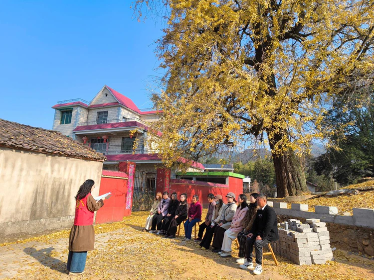 【新时代文明实践】湘湖镇:银杏金叶映秋色 全会新声入民心 【新时代文明实践】湘湖镇:银杏金叶映秋色 全会新声入民心