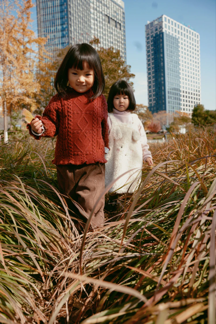 拾秋趣,探杏秘——赴一场与银杏的秋日之约