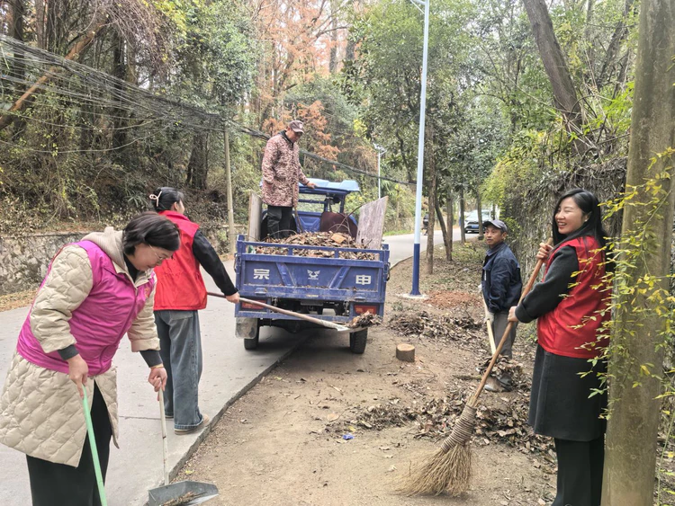 【实干绘新篇 环境焕新颜】浮梁湘湖镇新一届村党组织班子展新貌