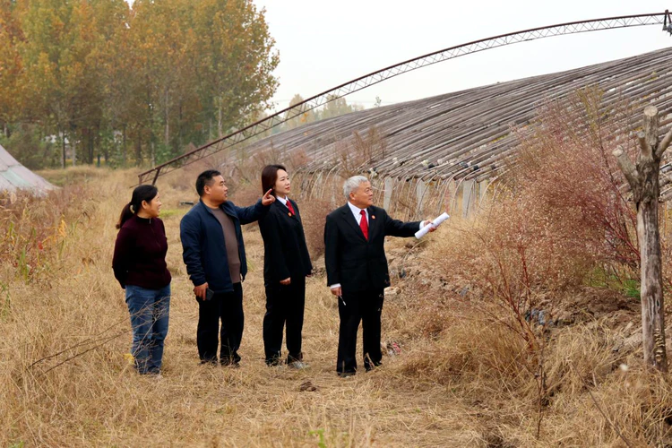 山东郯城:法官七次回访点亮那抹“夕阳红”
