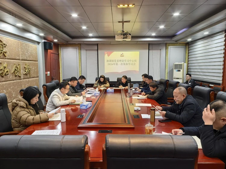 湘湖镇召开2026年镇党委理论学习中心组第一次集体学习会议