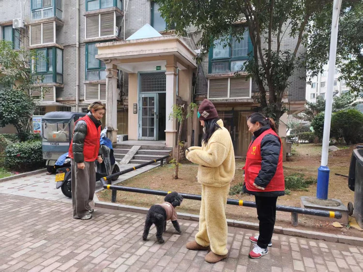 【文明养犬始于心 社区和谐践于行】太白园街道小路园社区开展文明养犬主题宣传活动