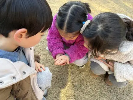 蚁趣探秘!杭州市钱新幼儿园解锁自然探索奇妙之旅