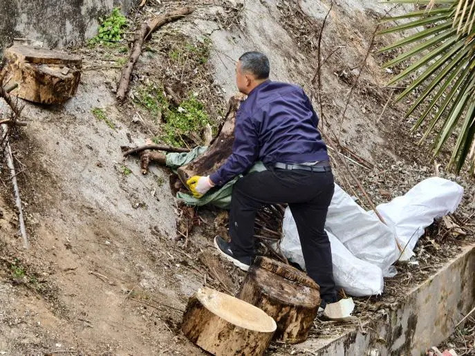 珠山区珠山街道人大代表:聚焦民生关切,擦亮幸福珠山底色
