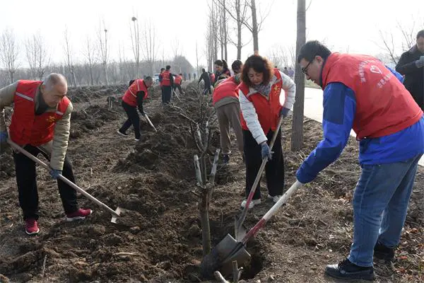 同心植果树绘就生态图  ——张店区植树节活动为乡村添绿