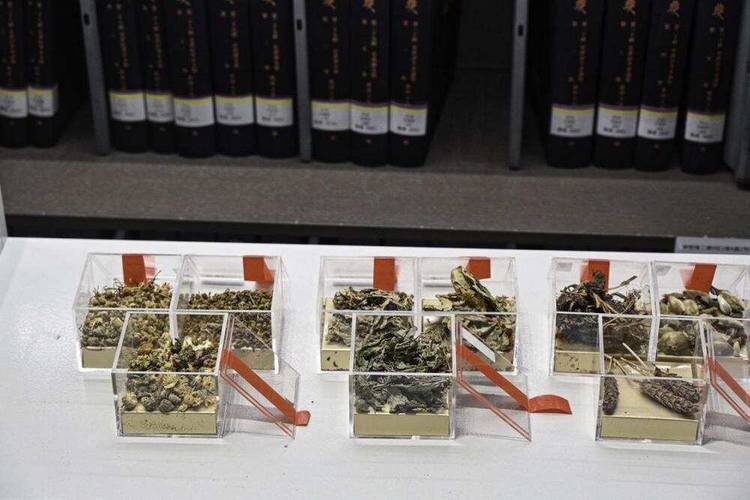 轻量化中医药非遗体验课堂“走红”