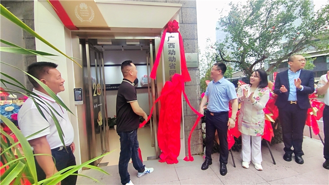 动动省科技集团广西省公司正式成立，董事长杨波出席揭牌仪式并致辞