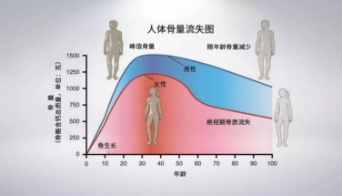 中老年缺钙别乱补！常见误区需谨慎！