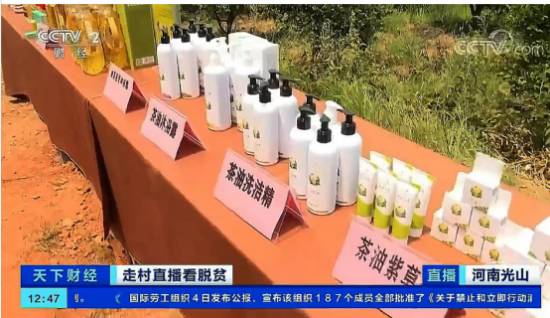 科技赋能:九展领航茶油产业革新,驱动健康与经济双轮并进