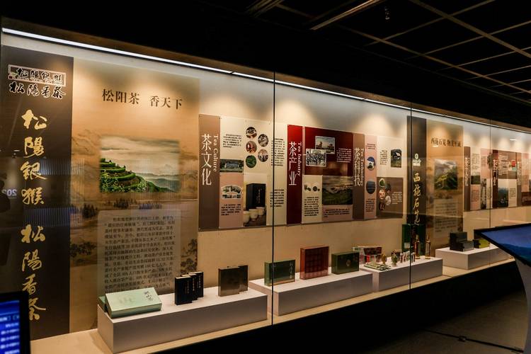 松阳茶亮相浙江茶品牌成就展