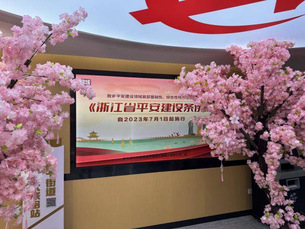 萧山广德社区组织开展平安浙江文化周活动