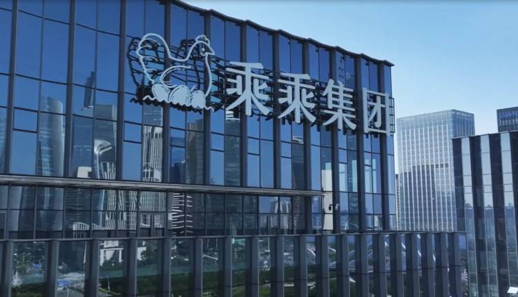 蛋品产业隐形冠军:乘乘集团如何用数字化重塑鸡蛋供应链