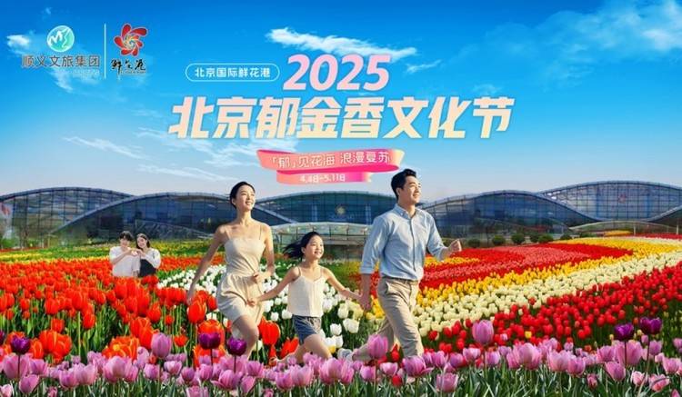 2025北京郁金香文化节沉浸式花海盛宴邀您共赴春日之约