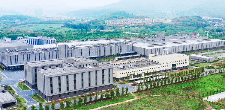 郴州卷烟厂打造绿色生态工厂 加速技术转型