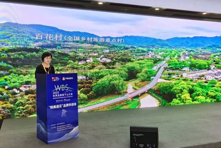 安徽庐江全域旅游建设成果亮相2025世界品牌莫干山大会
