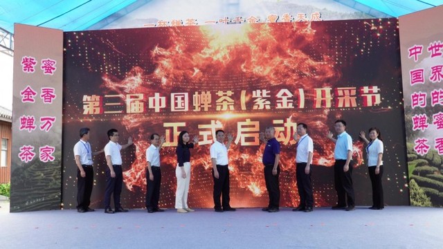 超百万人次观看!第三届中国蝉茶(紫金)开采节甜蜜启幕