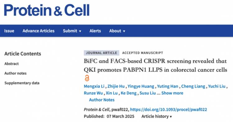 癌症研究专题1:值得阅读的结直肠癌、乳腺癌研究高分文献分享
