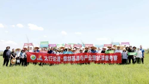 田间论道+科研加持 振东中药材携多方解锁柴胡产业新路径