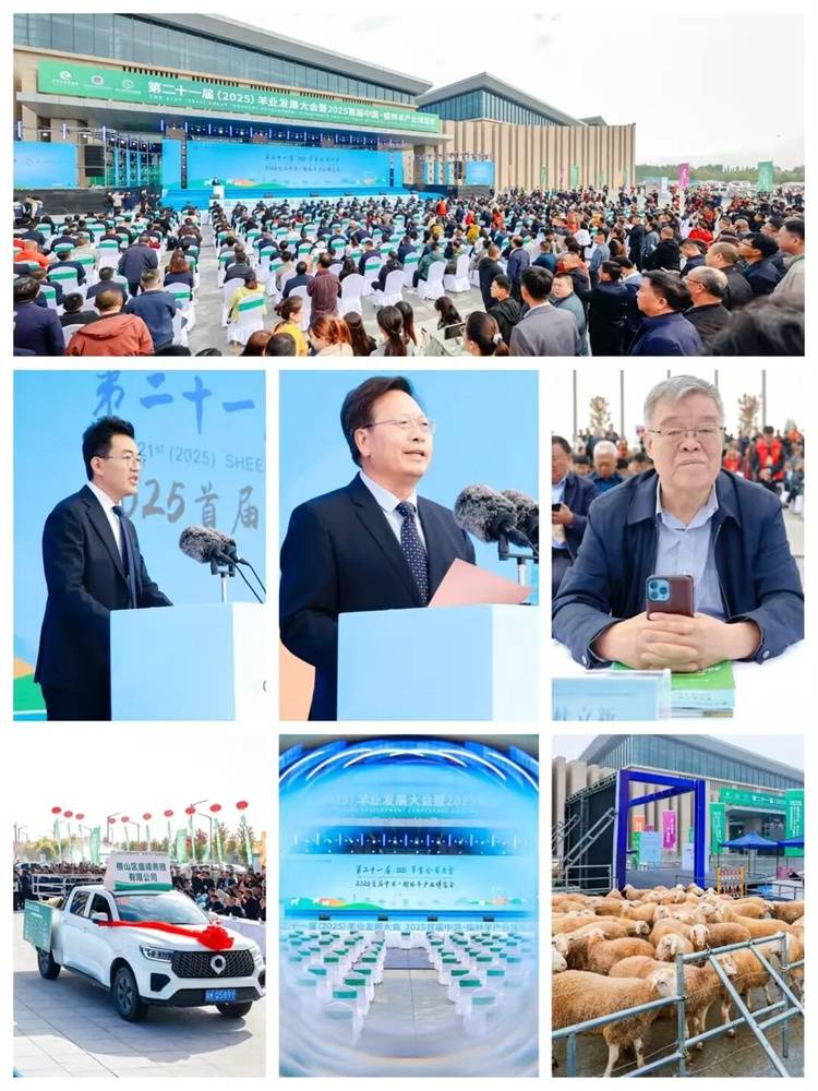 聚焦新质生产力赋能羊行发展,辛乐携明星产品闪耀中国羊业大会