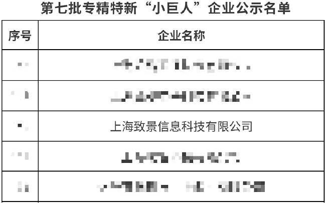 上海致景科技荣获国家工信部专精特新“小巨人”企业称号