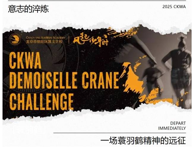 告别传统跑道竞速丨2025朝阳凯文勇气挑战赛，围观蓑羽鹤精神远征全纪实