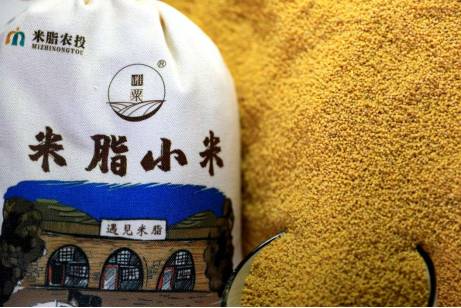 陕西米脂县:“小米之乡”走出农文旅融合新路径