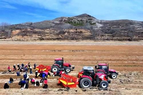 扎根乡土筑根基！振东以药材产业激活太行山区乡村振兴新动能
