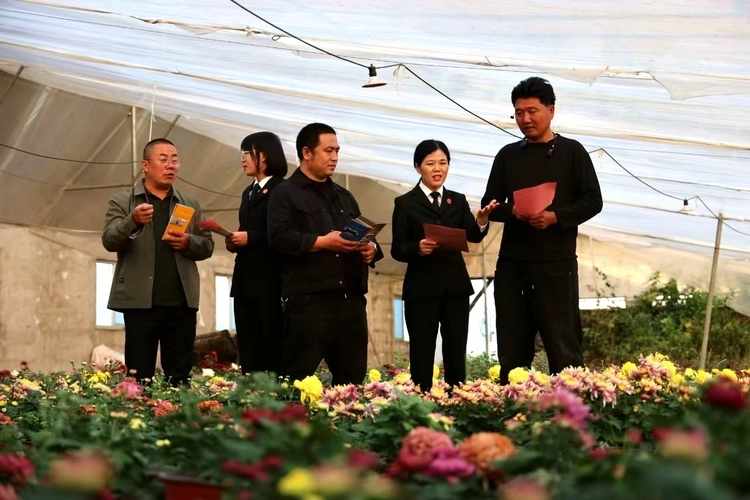 山东郯城法院:服务落地 菊香满园