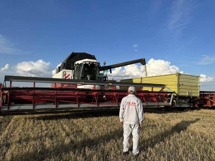 一捧中亚小麦的东方之旅