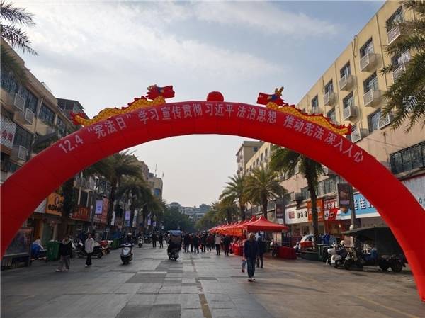 定南县林业局开展 2025年“12·4”国家宪法日暨 “宪法宣传周”集中宣传活动