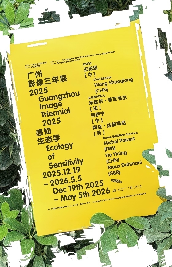 “广州影像三年展 2025 ”启幕:以 “感知生态学” 重构数字时代的视觉对话 “广州影像三年展 2025 ”启幕:以 “感知生态学” 重构数字时代的视觉对话