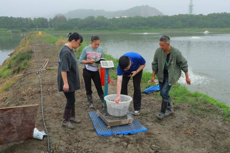 创新“五保”模式 助力湖州淡水鱼行业高质量发展