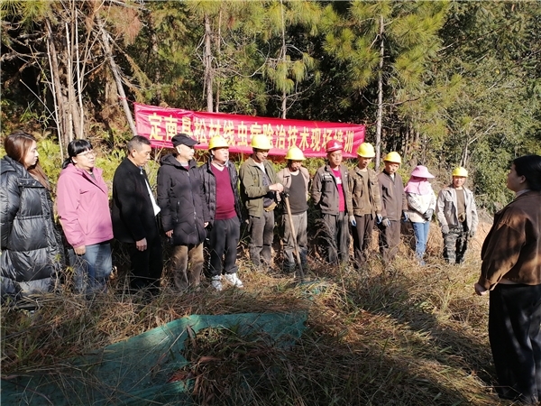 定南县林业局：“四个到位”严抓疫木除治 现场培训筑牢生态防线