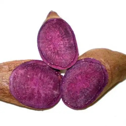 最新消息！大浪淘金app为何成为宠儿