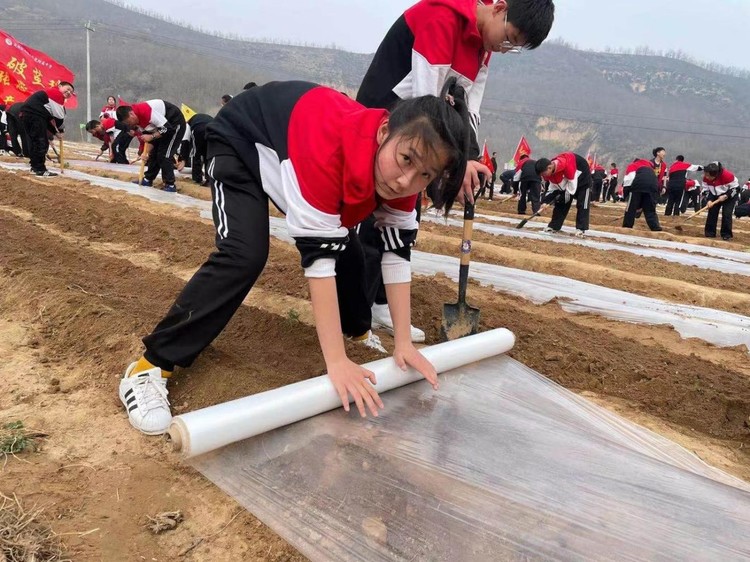 延安市安塞区：体系赋能映初心 志愿服务惠民生