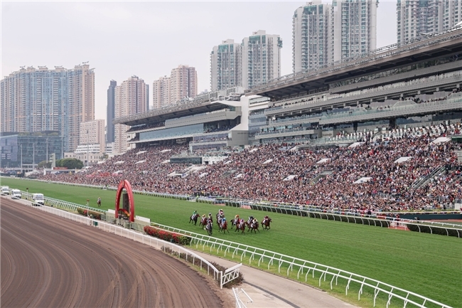 香港赛马会“马年赛马日”游客人数创新高 马年赛马共庆新春