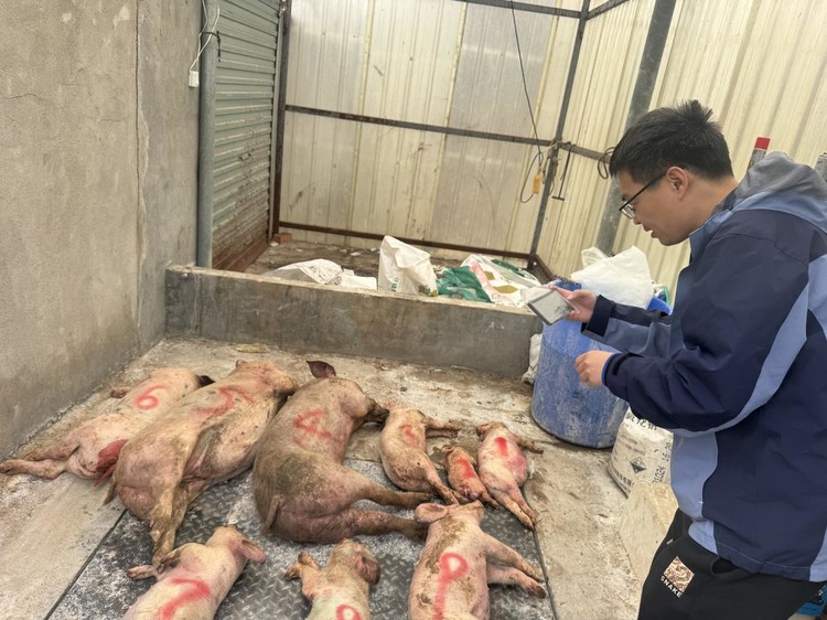 三农服务“不断档”，守护过好“安心年”