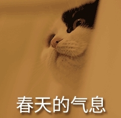 堵也不慌、远也不累：艾瑞泽8 PRO带你春日稳赢