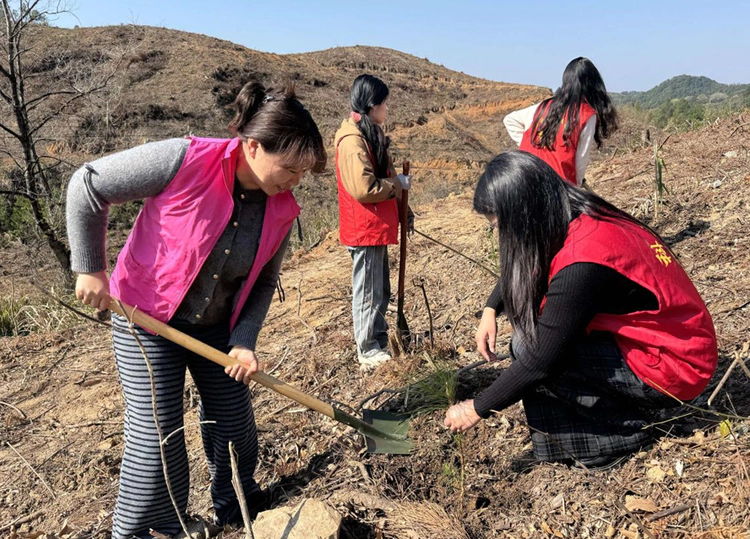 【新时代文明实践】春回大地 植绿正当时 湘湖镇开展新春植树活动