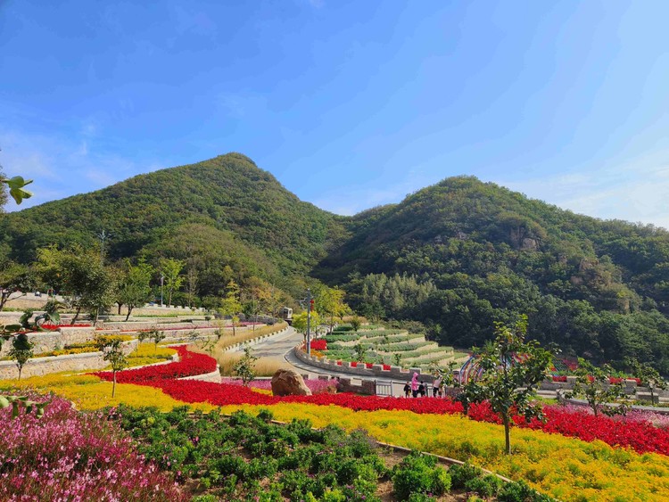 生态赋能文旅融合 平谷梨树沟首届梨花艺术节正式开启！
