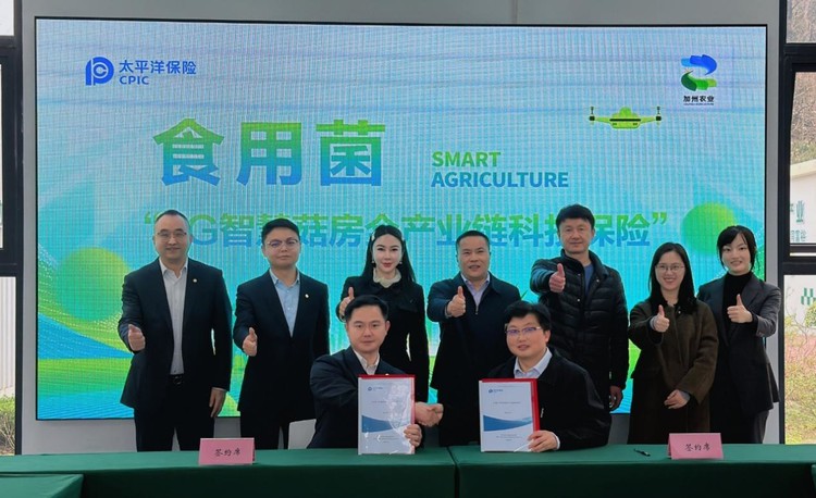 科技保险护航智慧农业 全国首单食用菌“5G智慧菇房全产业链科技保险”落地浙江